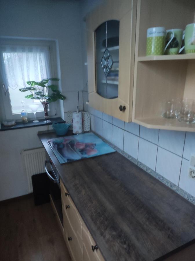 Kleine Gemuetliche Wohnung Zwickau Exterior foto