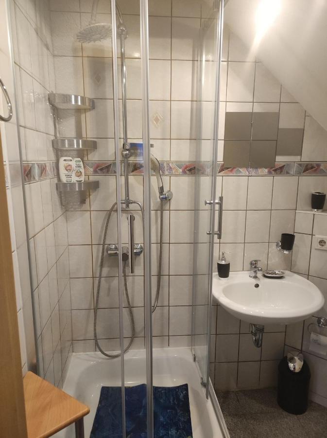 Kleine Gemuetliche Wohnung Zwickau Exterior foto